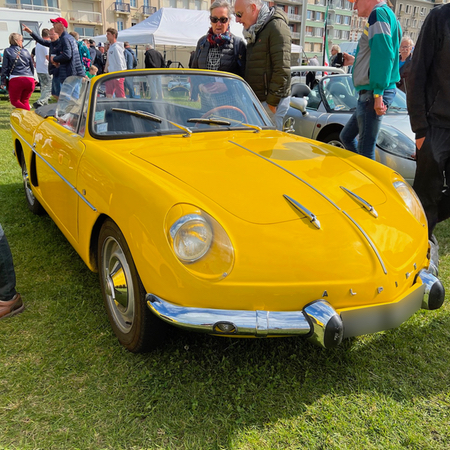 1000 Alpine 2022