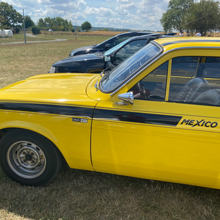 Meeting Ford Reims-Gueux 2020
